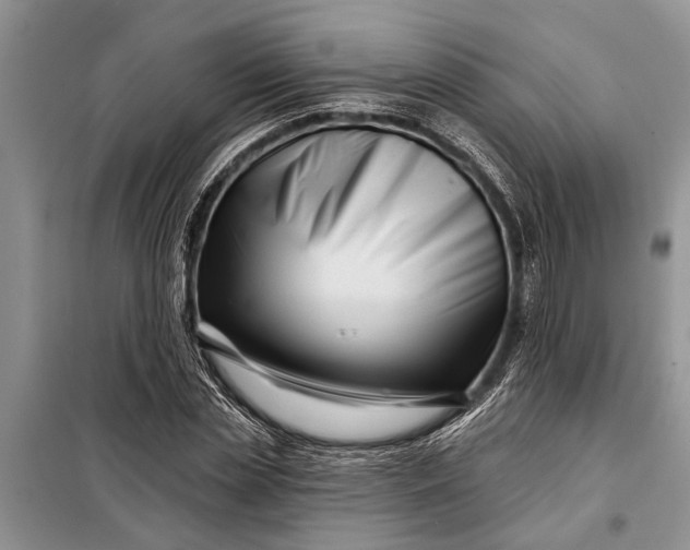 X0000097970829200804071056