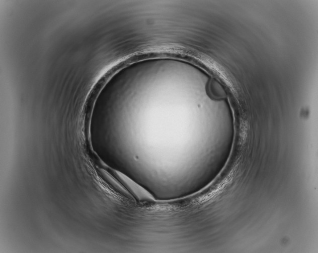 X0000097970830200804071056