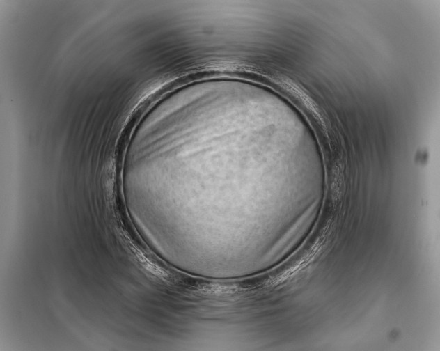 X0000097970831200804071056