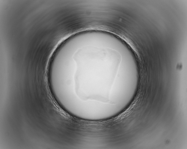 X0000097970832200804071056