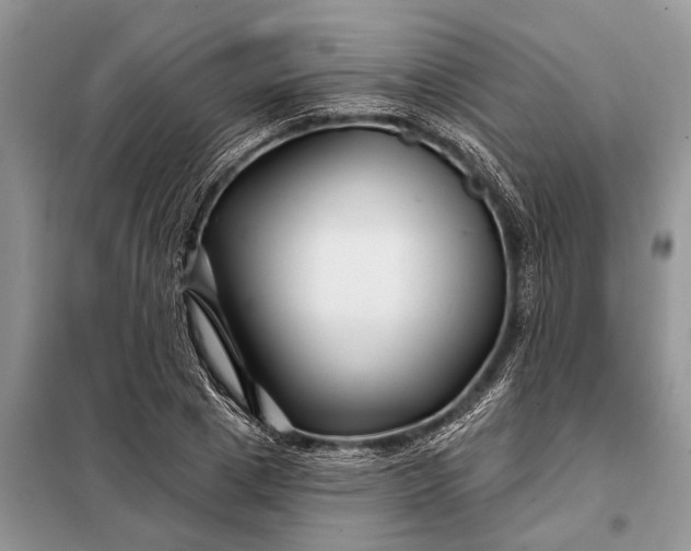 X0000097970833200804071056