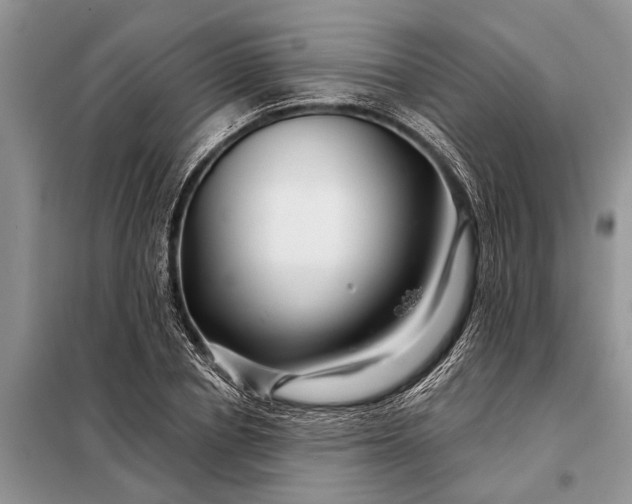 X0000097970834200804071056