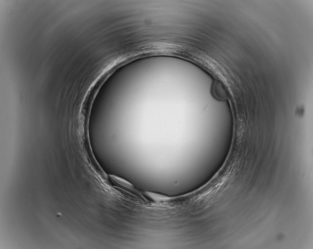 X0000097970835200804071056