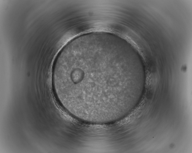 X0000097970836200804071056