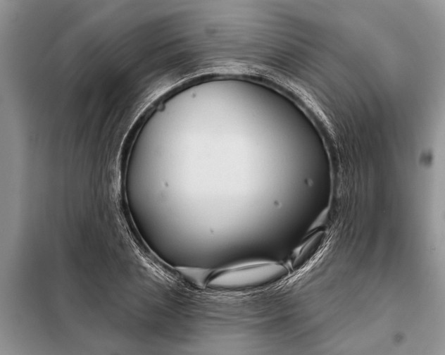 X0000097970837200804071056