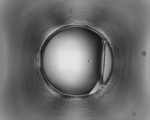 X0000097970838200804071056