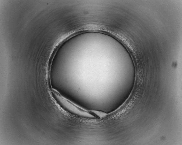 X0000097970839200804071056