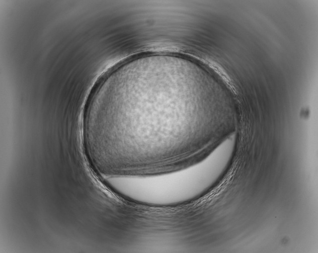 X0000097970840200804071056