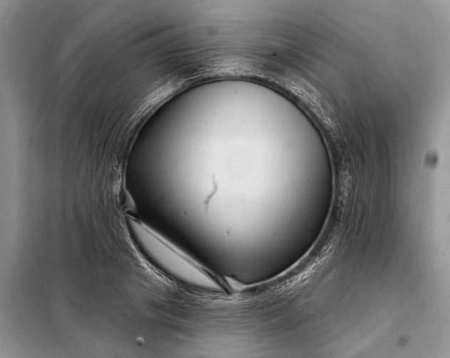 X0000097970841200804071056