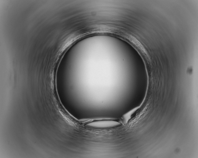 X0000097970842200804071056