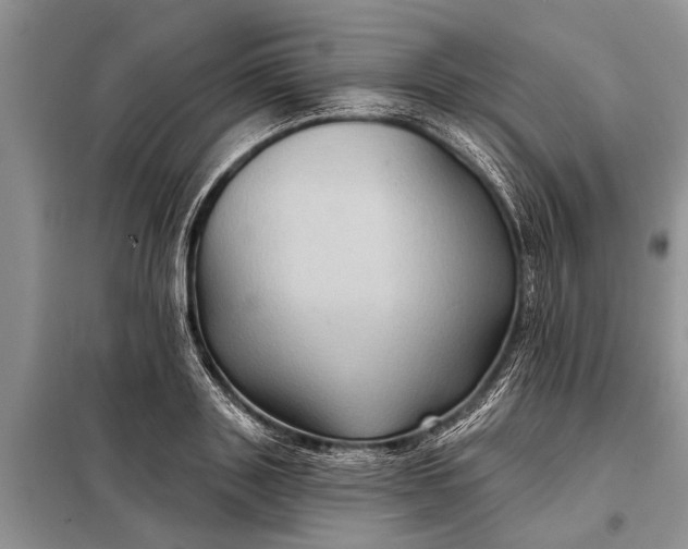 X0000097970843200804071056