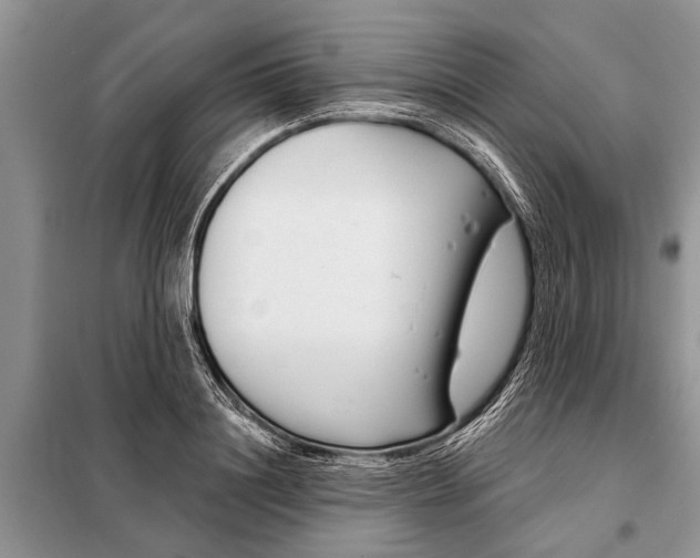 X0000097970844200804071056