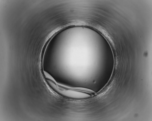 X0000097970845200804071056