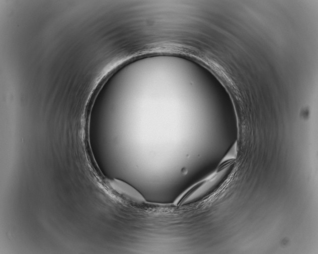 X0000097970846200804071056