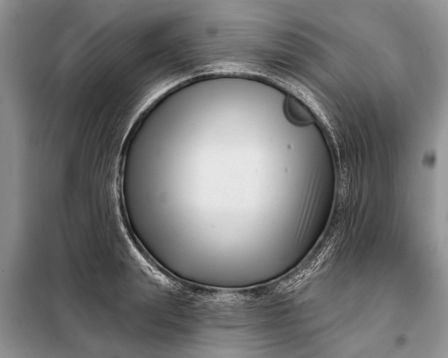 X0000097970847200804071056