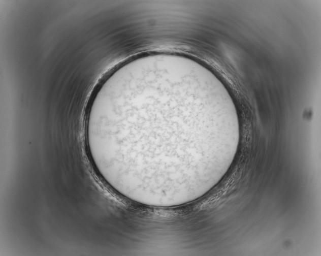 X0000097970848200804071056