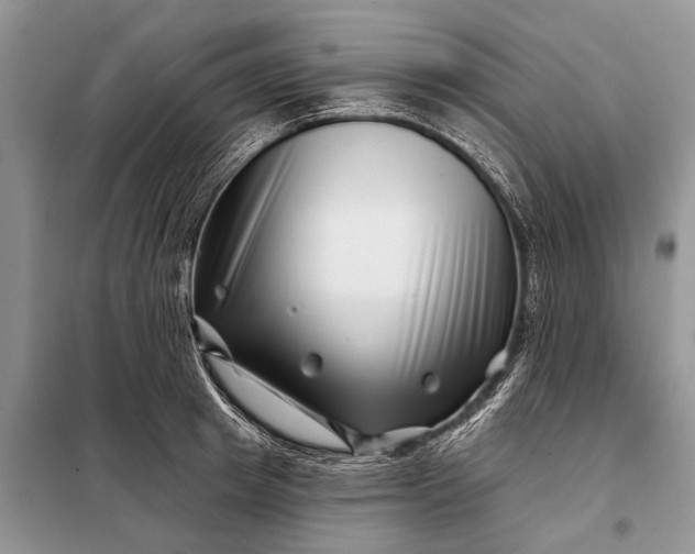 X0000097970849200804071056