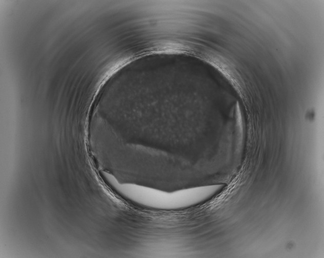 X0000097970850200804071056