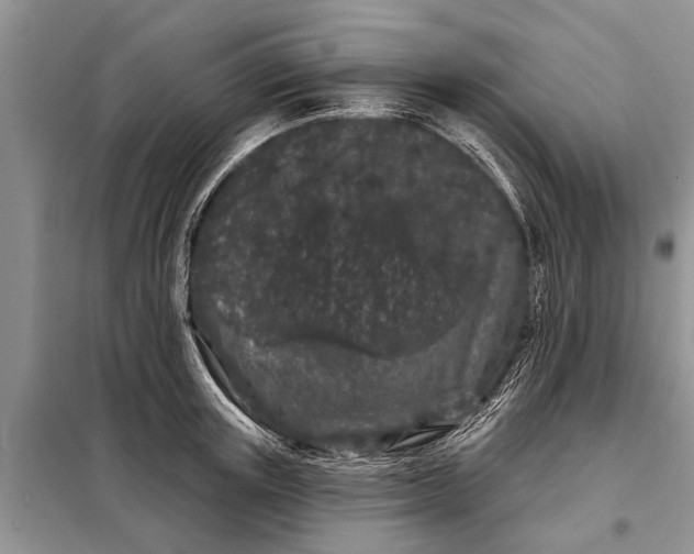 X0000097970851200804071056