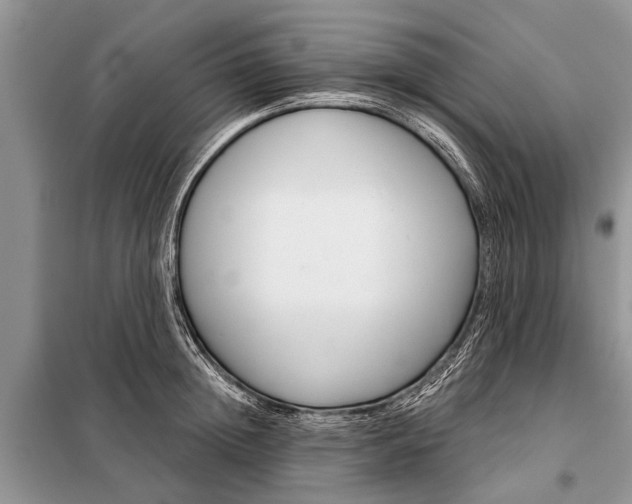 X0000097970852200804071056