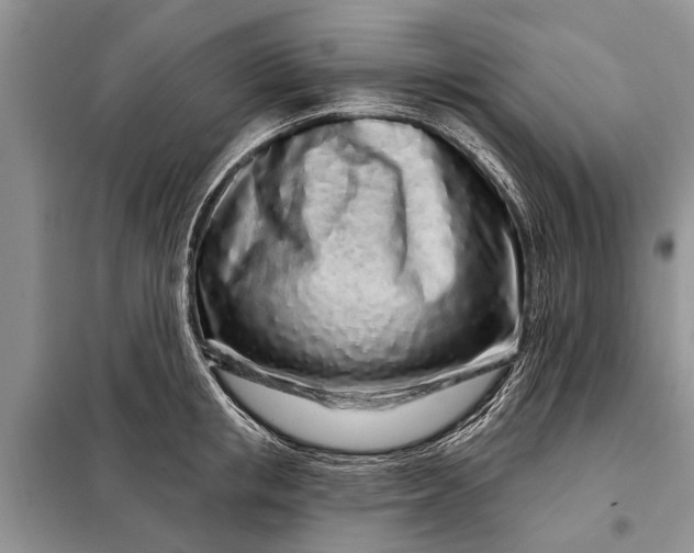 X0000097970853200804071056