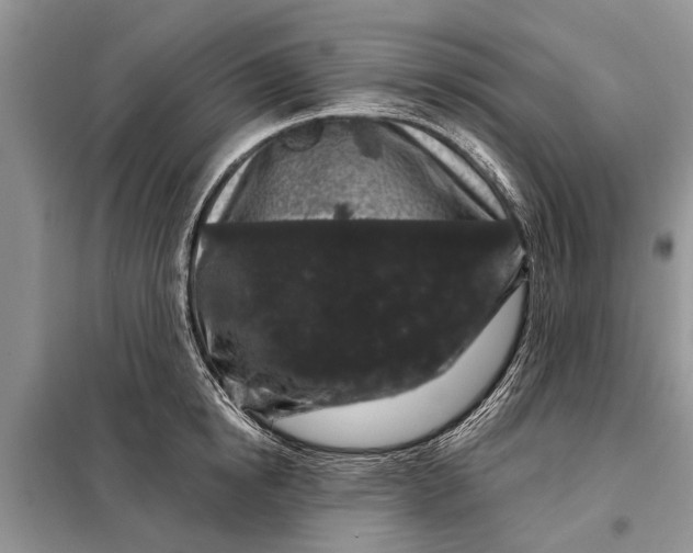 X0000097970854200804071056