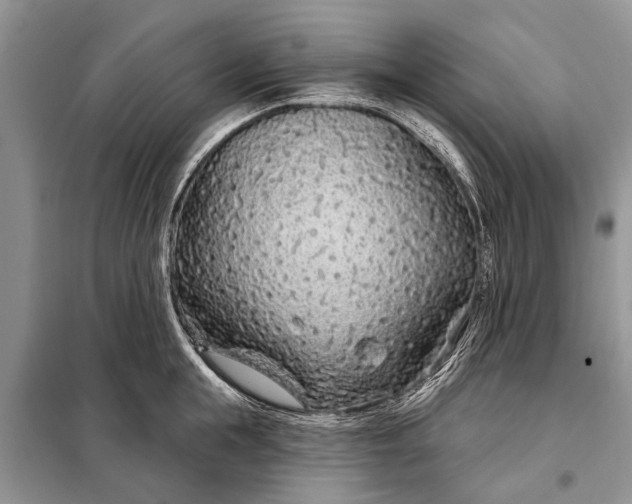 X0000097970855200804071056