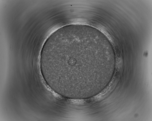 X0000097970856200804071056