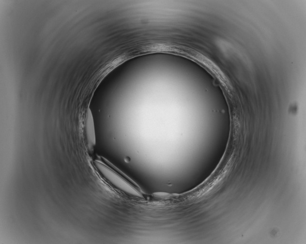 X0000097970857200804071056