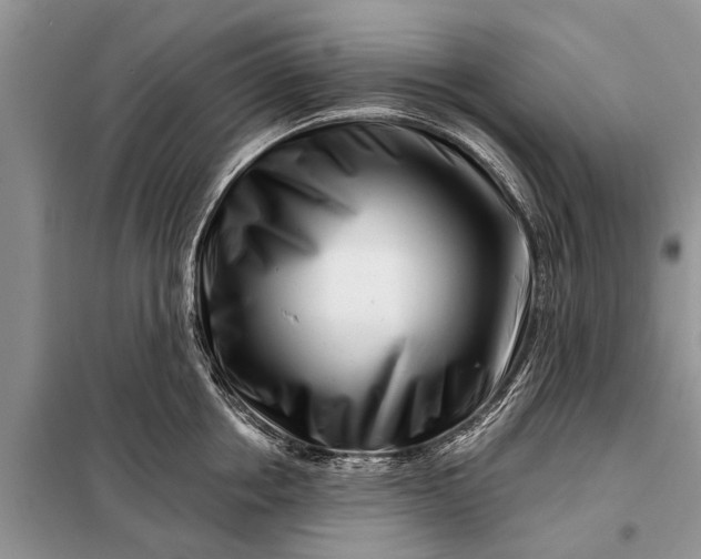 X0000097970858200804071056