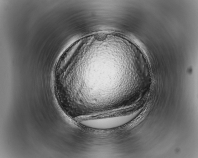 X0000097970859200804071056