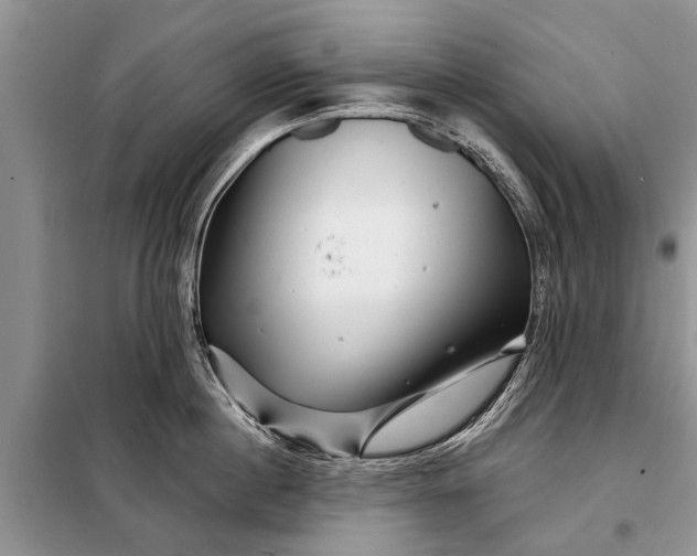 X0000097970860200804071056