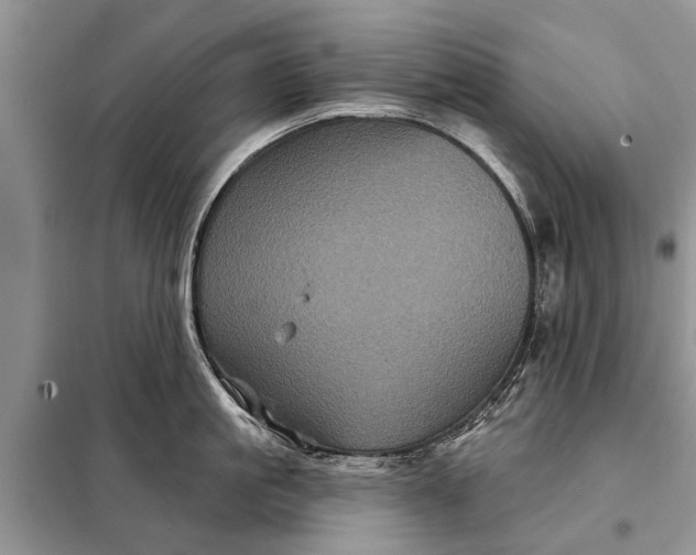 X0000097970861200804071056