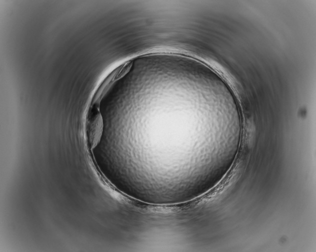 X0000097970862200804071056