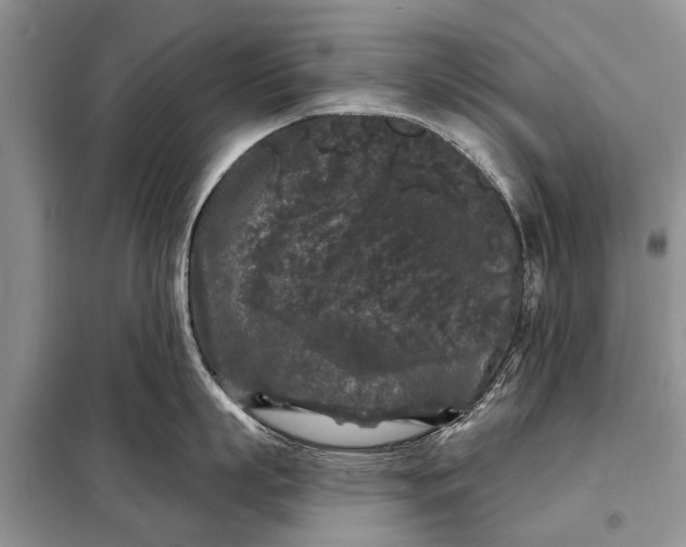 X0000097970863200804071056