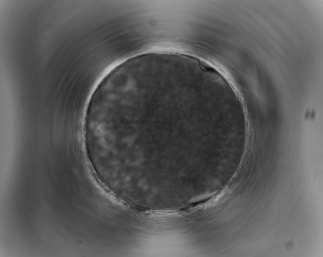 X0000097970864200804071057