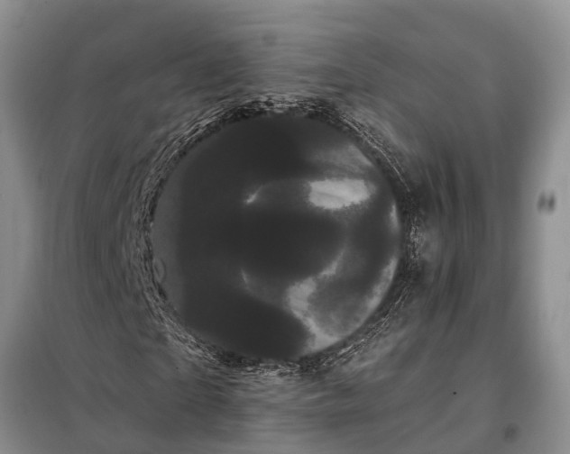 X0000097970865200804071056