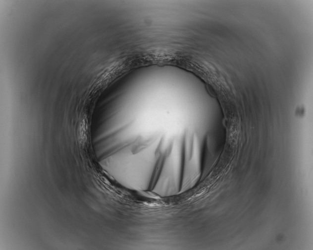 X0000097970866200804071056