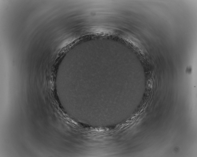 X0000097970869200804071056