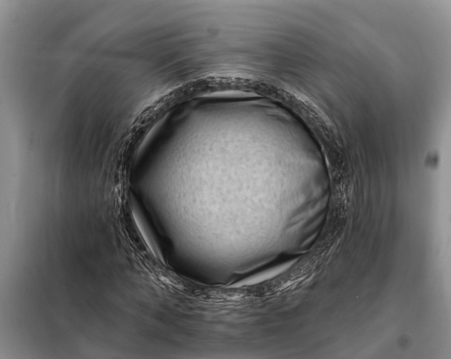 X0000097970870200804071056