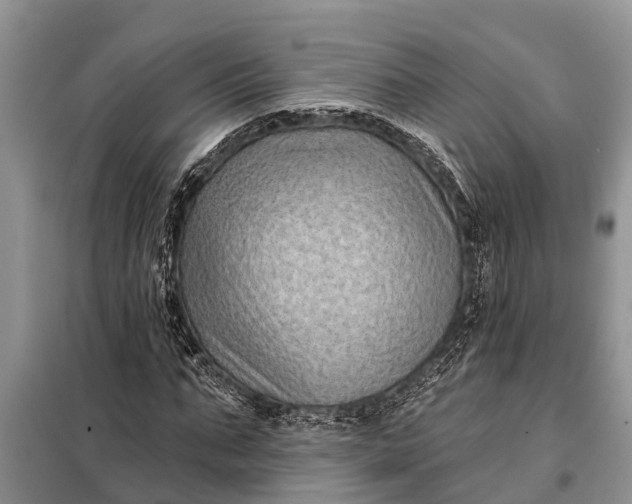 X0000097970871200804071056