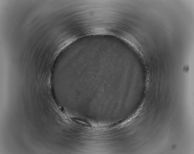 X0000097970873200804071055