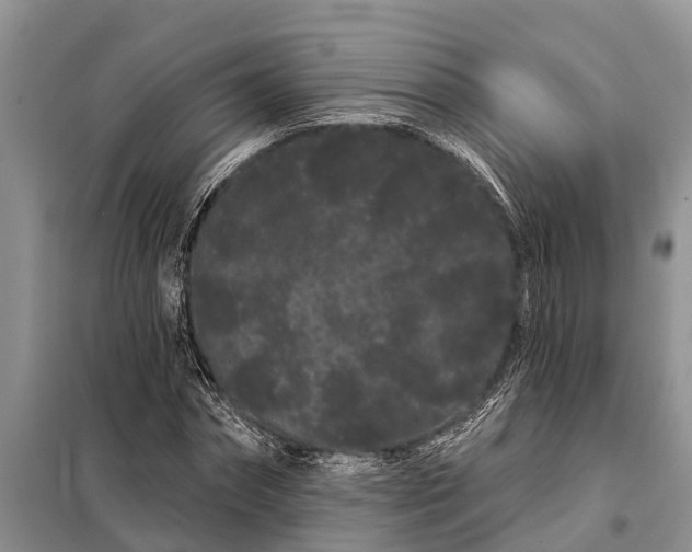 X0000097970874200804071055