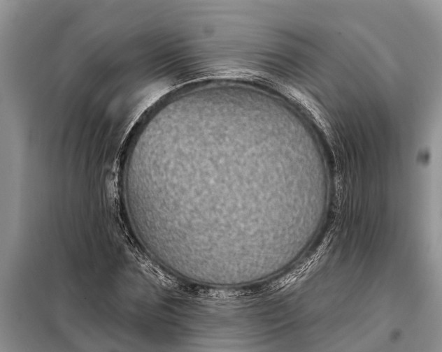 X0000097970875200804071055