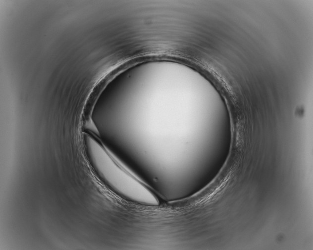 X0000097970876200804071055