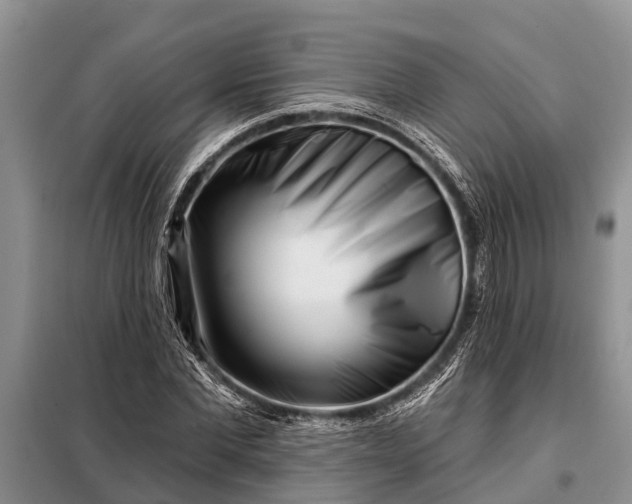 X0000097970877200804071055