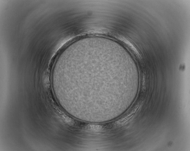 X0000097970878200804071055