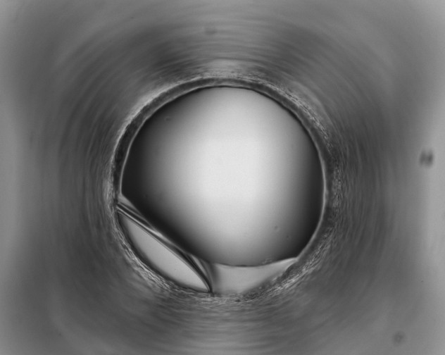 X0000097970880200804071055