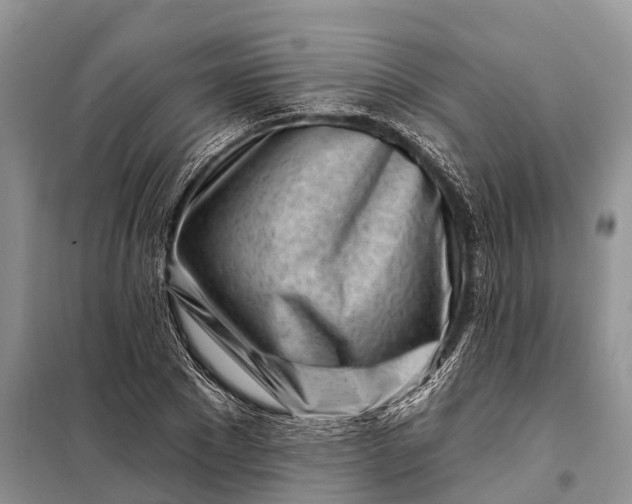 X0000097970881200804071055