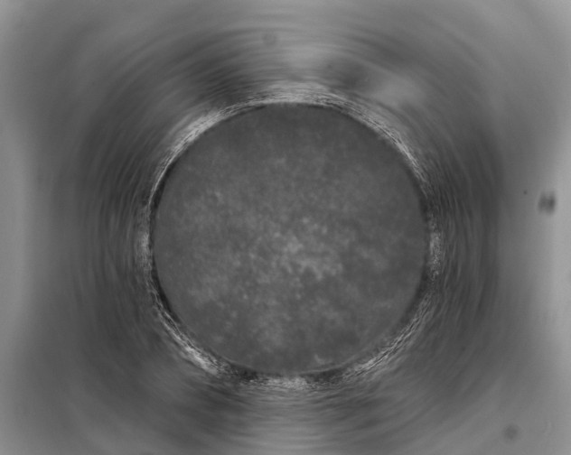 X0000097970882200804071055